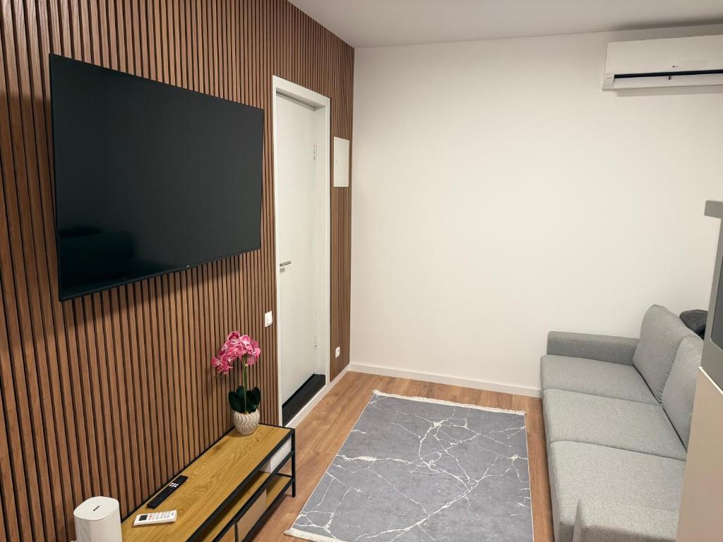 a living room with a couch and a tv on a wall at Arnhem Bouwmeesterstraat in Arnhem
