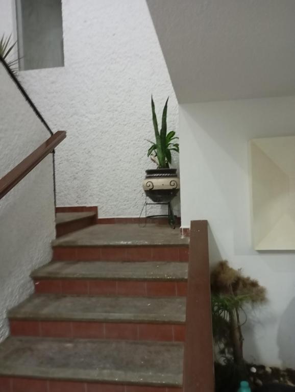 a staircase with a potted plant in a white wall at Casa al norte in Aguascalientes