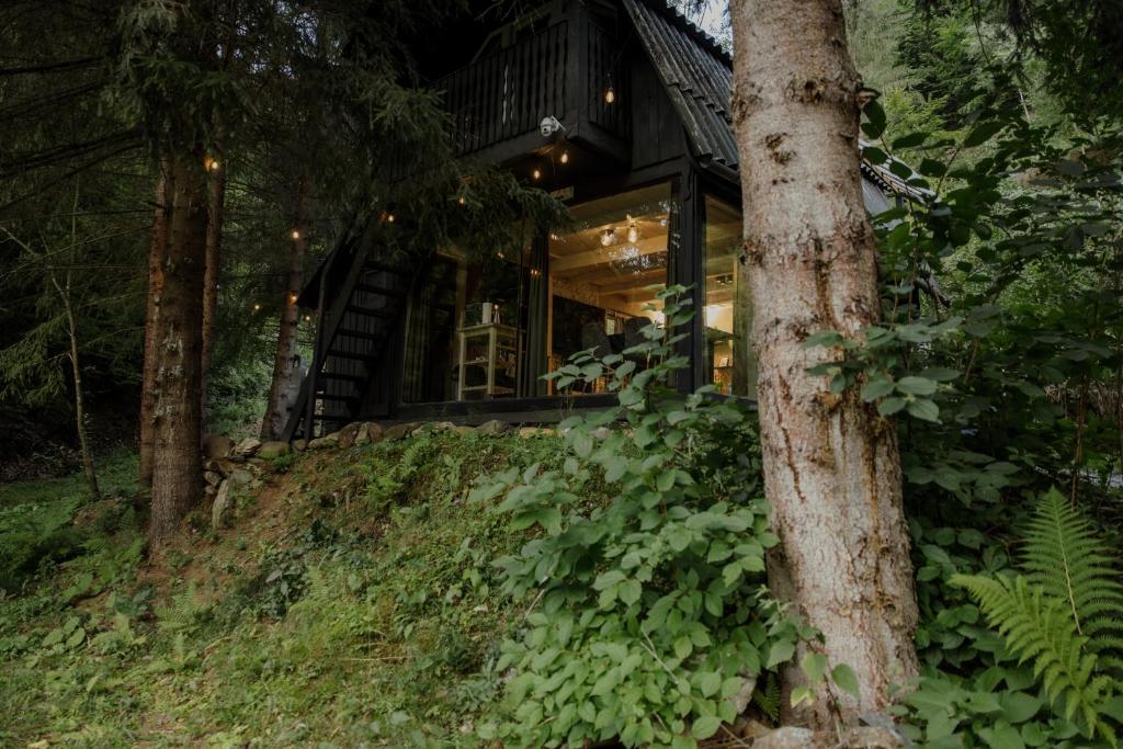 a house in the woods with a tree at Sturzul Negru in Păiuş