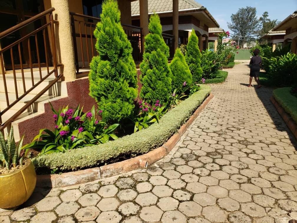 Acacia Country Inn - Standard Single Room