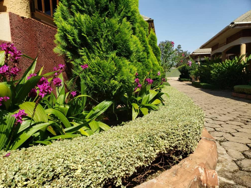 Acacia Country Inn - Deluxe Single Room