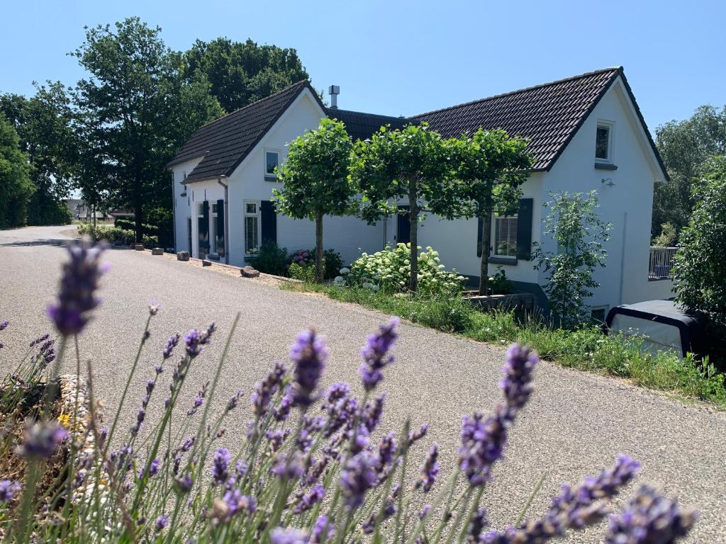 a house with purple flowers in front of it at Luxury guesthouse - Eik bij de dijk in Aalst
