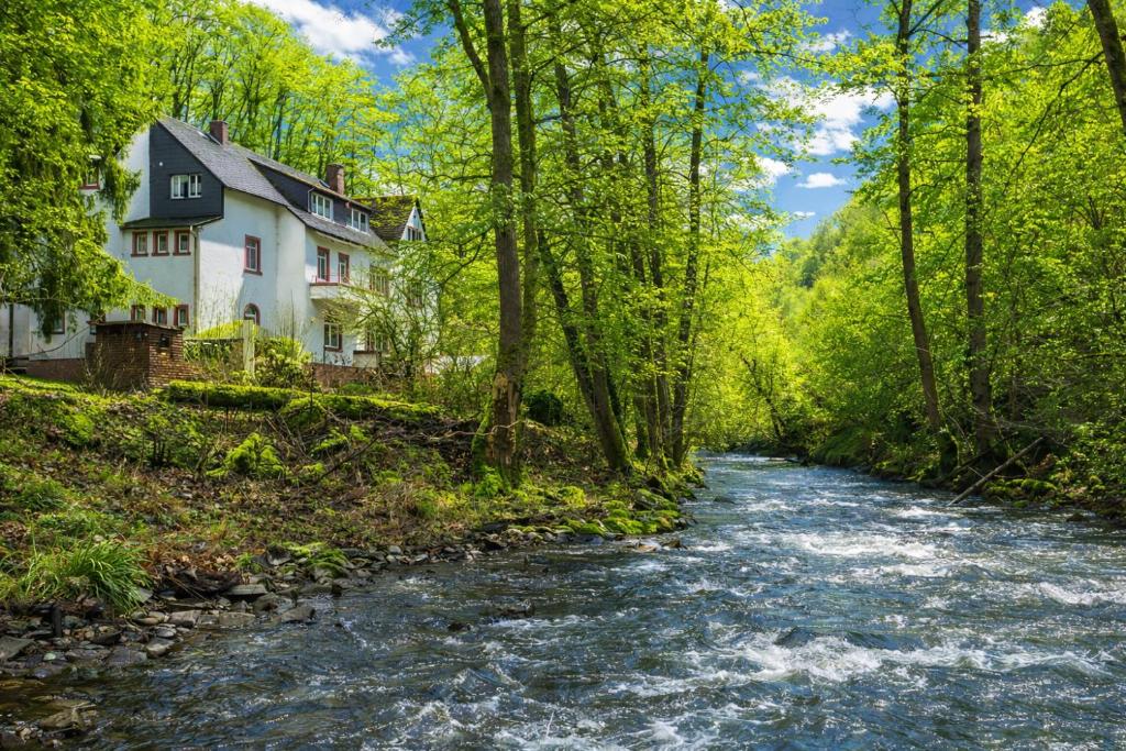 a house on a hill next to a river at Wald Villa Üssbach in Alf