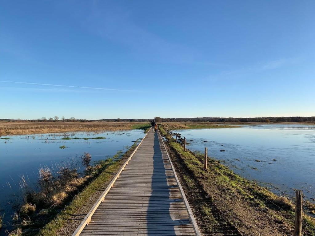 a wooden boardwalk stretches across a body of water at Ørbakke - Søborg Sø in Græsted