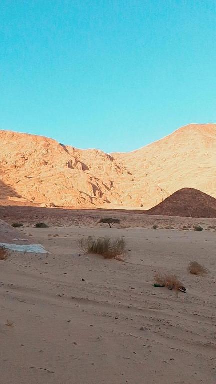 Wadi rum Nader