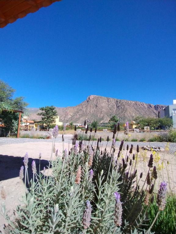 a view of a mountain with flowers in the foreground at El Aromo Cafayate in Cafayate