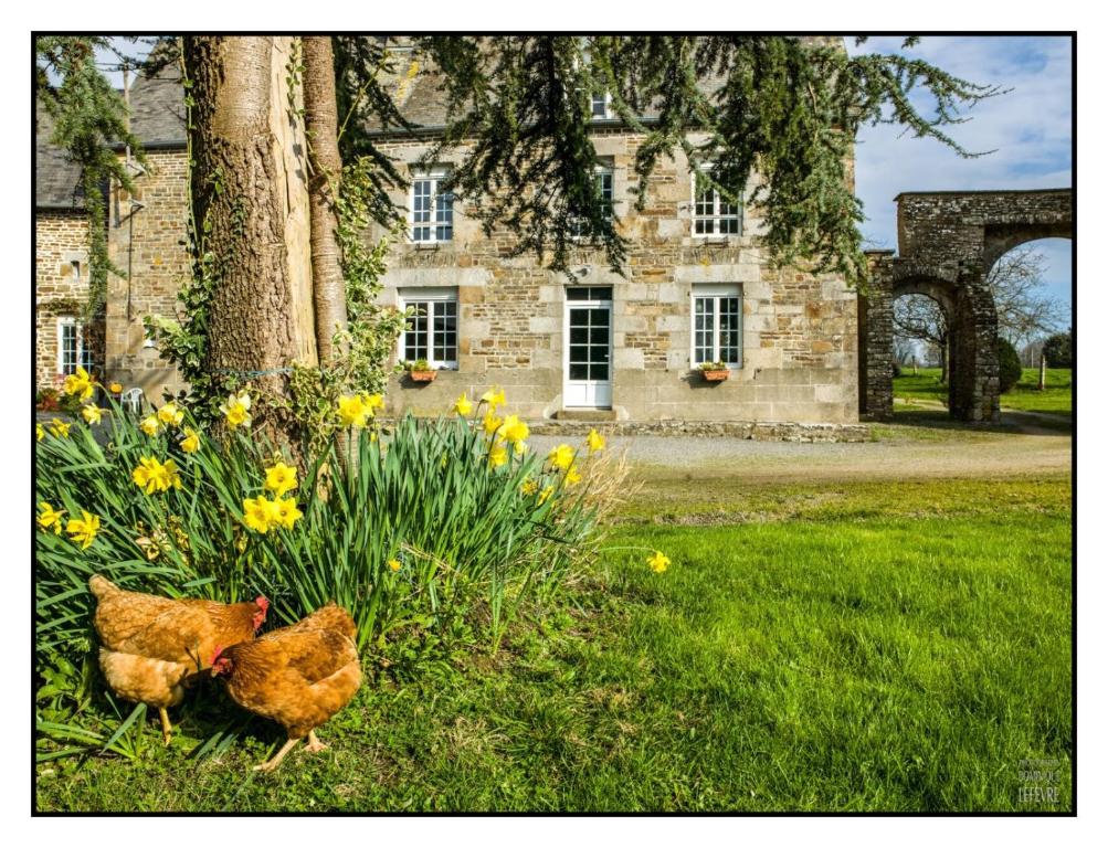 Le Manoir de la Beslière - Gîte et Chambres d'hôtes - 12