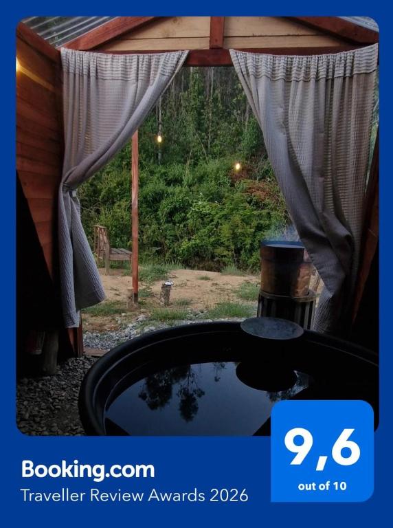 Tiny estrella sur y tinaja