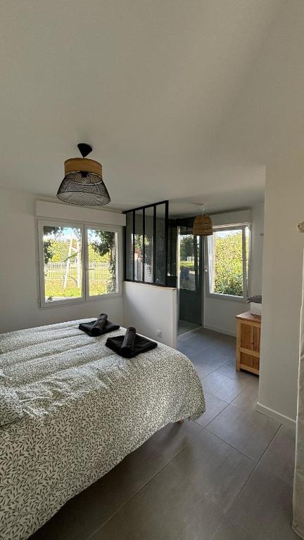 a bedroom with a bed and two windows at Maisonnette avec terrasse in Montauban