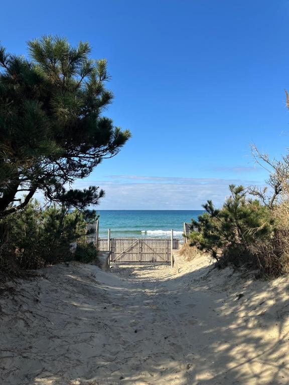 a path to the beach with a fence and the ocean at Secret Beach House MOKU in Fukutsu