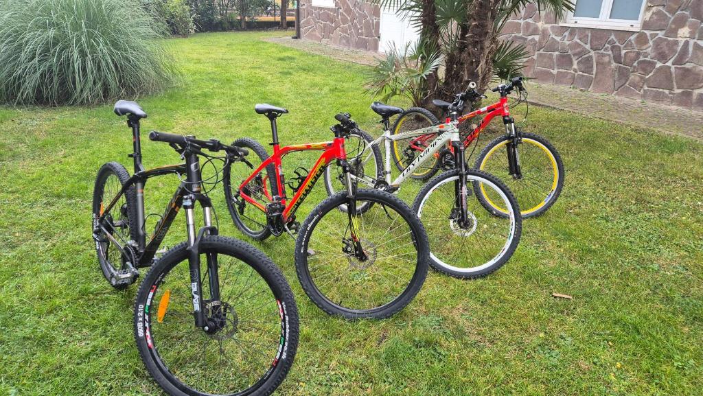 dachzelt für jedes auto geeignet 4 Personen für dein RAM Mount iPhone 15 BMG CYCLZ® Rennrad Trikot 