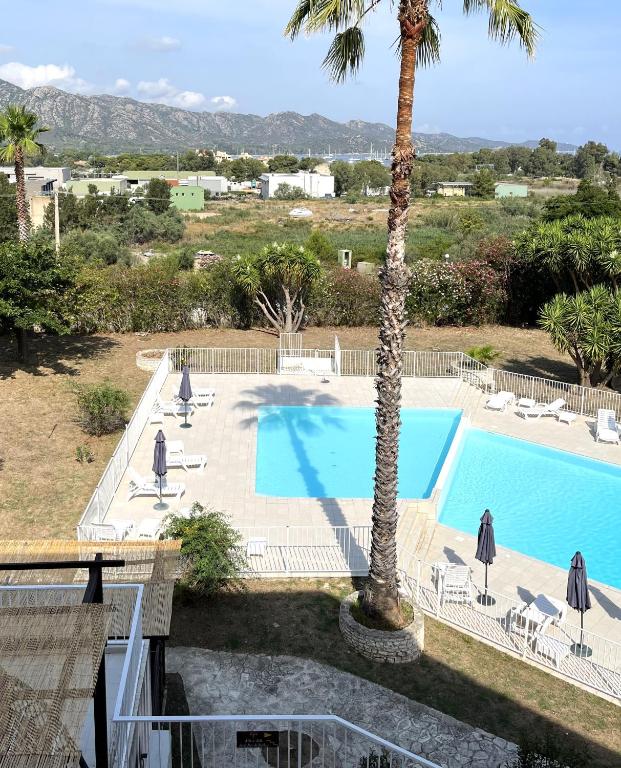 a swimming pool with a palm tree next to it at Studio avec piscine SAINT FLORENT - FLO300-259 in Saint-Florent