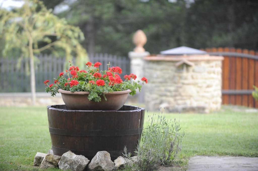 Vonkajšia záhrada v ubytovaní Agriturismo Podere il Corniolino