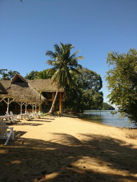 a beach with chairs and a palm tree and water at Hotel Bahía in Marisco Guapinol