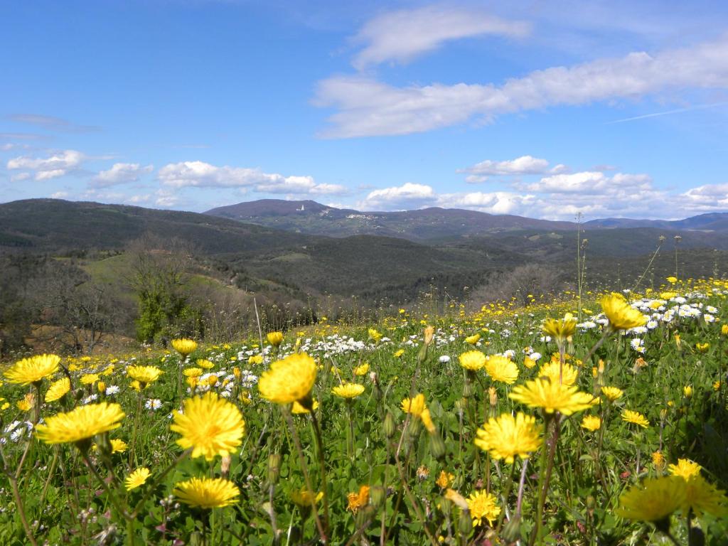 Príroda v okolí apartmánu