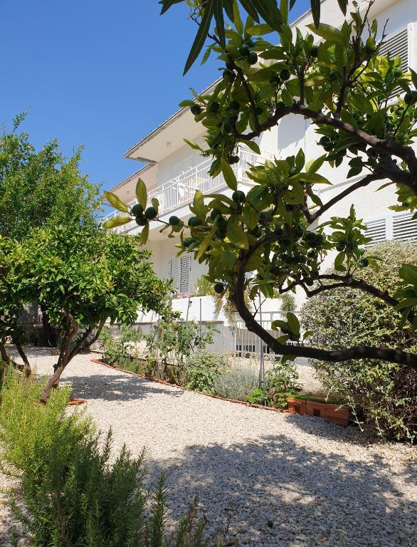 a white building with trees in front of it at Orebic BnB in Orebić