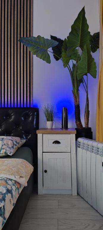 a bedroom with a bed and a night stand with plants at Abel Luxury Home in Constanţa
