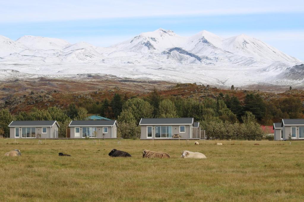 Miðhraun - Lava resort & Restaurant