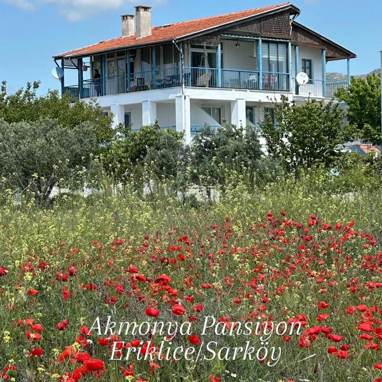 a house in the middle of a field of flowers at Akmonya Pansiyon in Eriklice
