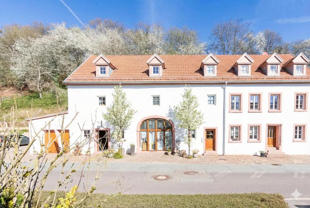 a large white building with a red roof at Erasmus 1901 Apartments in Trassem