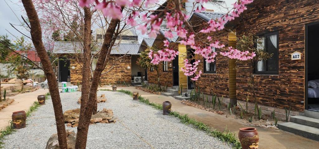 a tree with pink flowers in front of a building at SAKURA Retreat in Mộc Châu