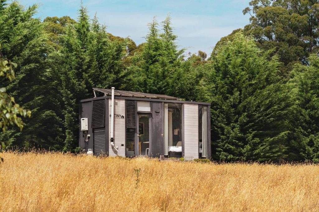 a small house in a field with trees at The Ridge by Tiny Away in Korweinguboora