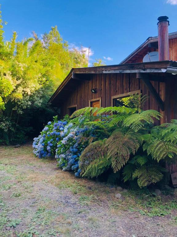 a bush of blue flowers in front of a building at Logia Blanca in Villarrica