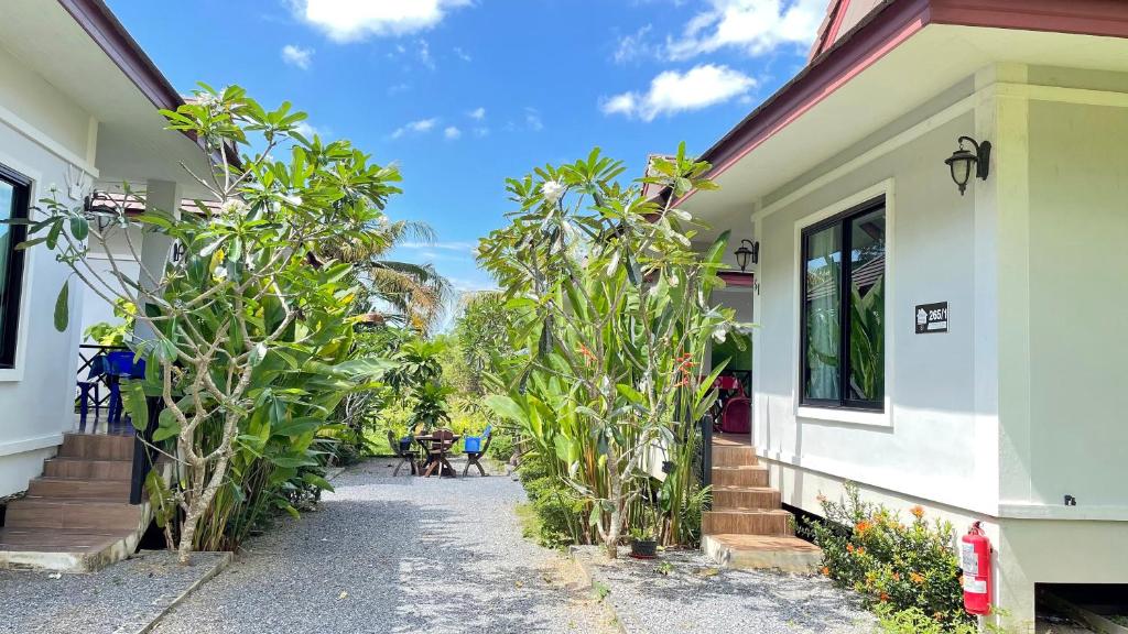 a house with plants growing outside of it at Abbas House by Swiss Chalet, 2-room Cottages in Krabi