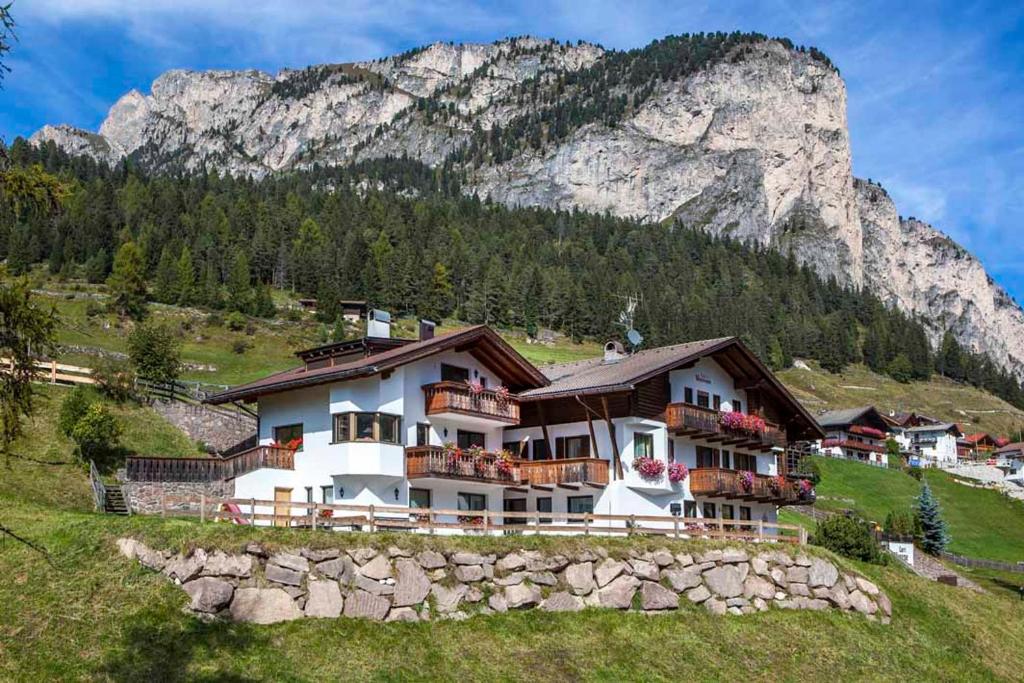 Příroda nedaleko hotelu