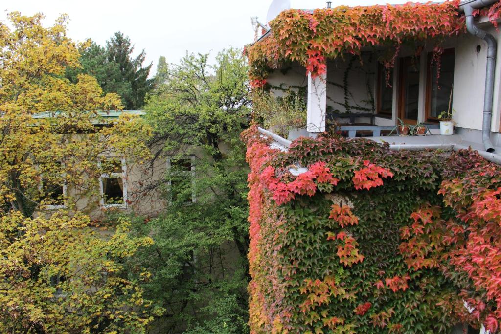 Zahrada ubytování Hotel Wiener Kindl
