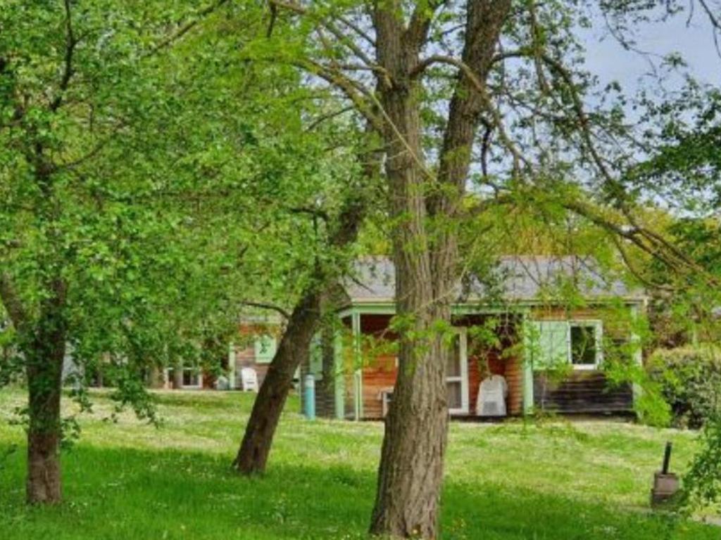 a house with trees in front of it at Chalet 8 Pers - Terrasse - Equipement bébé - API-1-52-1519 in Beaudreix