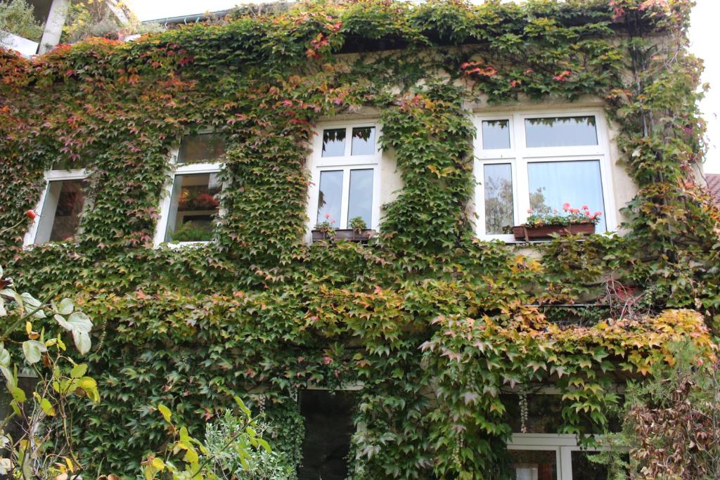 Zahrada ubytování Hotel Wiener Kindl