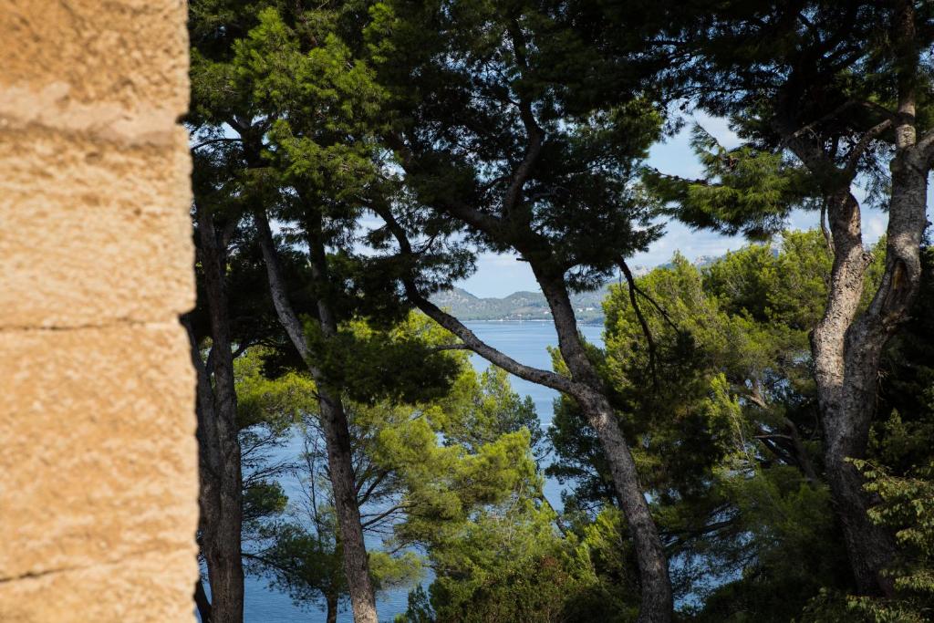 a view of the ocean through the trees at Petit Hotel Hostatgeria La Victoria in Alcudia