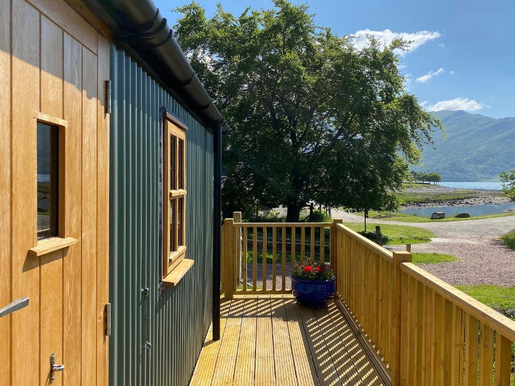 a house with a deck with a door and a flower pot at Corran Shepherds Hut in Corran