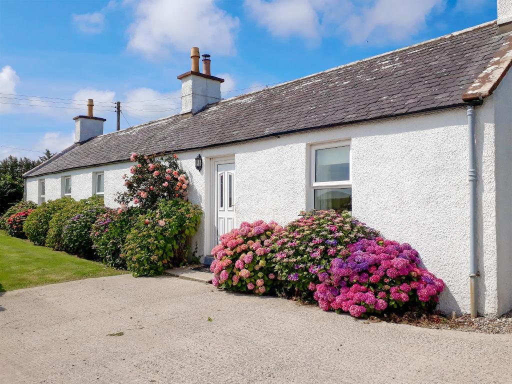 a white house with flowers in front of it at Palmallet Cottage in Whithorn