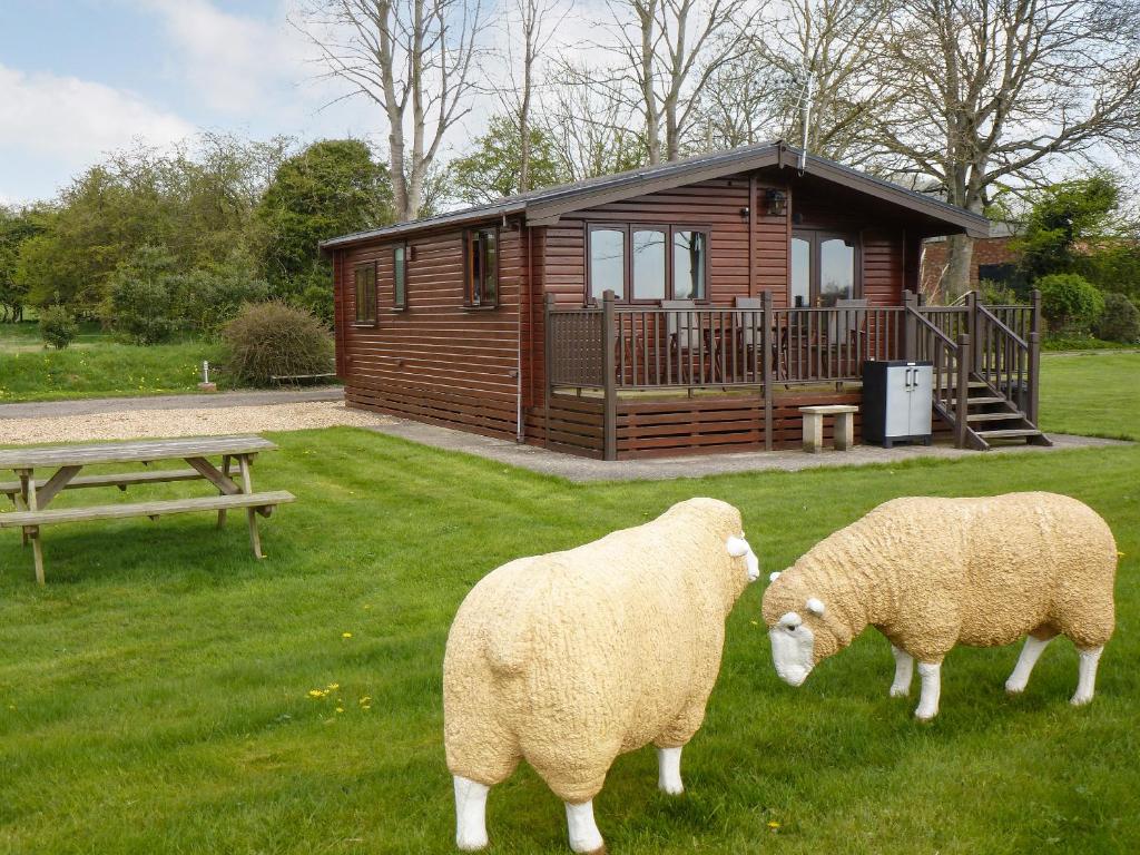 two sheep standing in the grass in front of a cabin at Wren Lodge - E5023 in Nawton