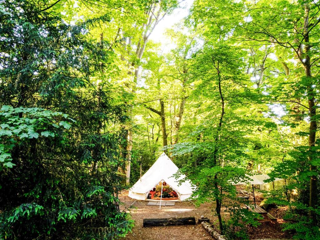 a white tent in the middle of a forest at Moroccan - Ukc5930 in Highclere