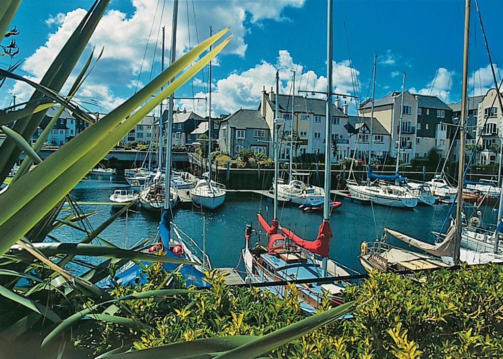 a group of boats docked in a harbor at Spinnakers in Falmouth