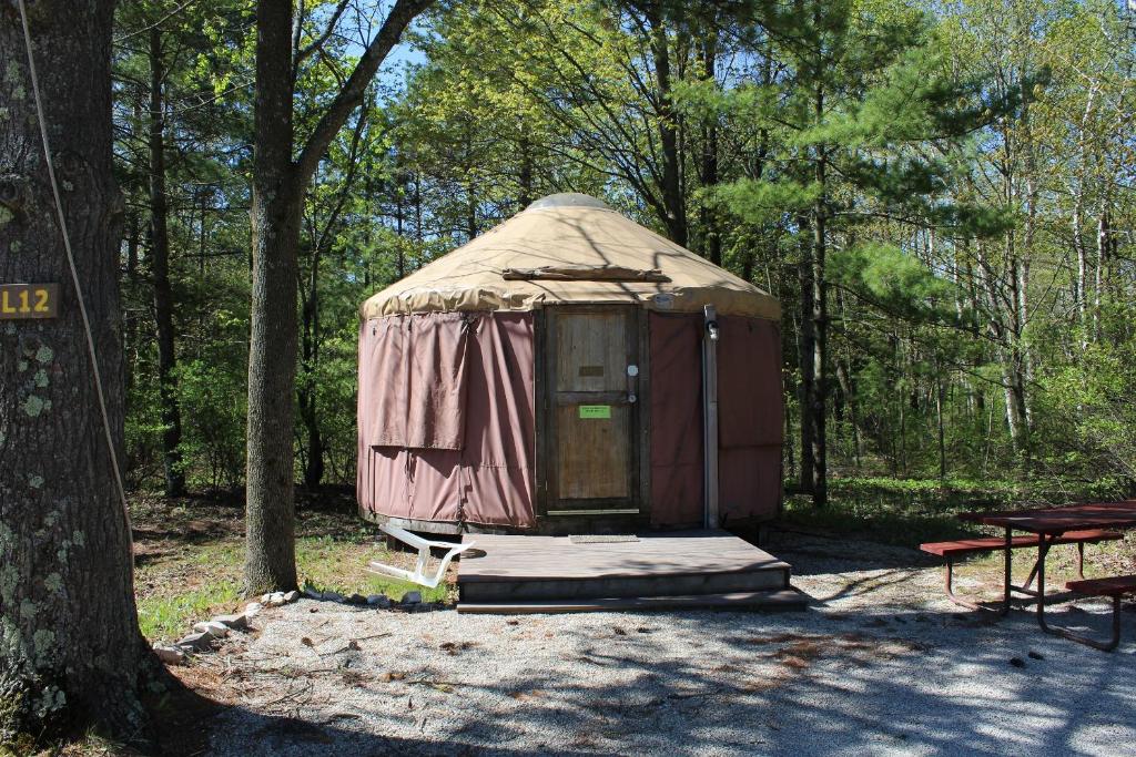 a yurt in the middle of a forest with a picnic table at Tranquil Timbers Yurt 3 in Sturgeon Bay