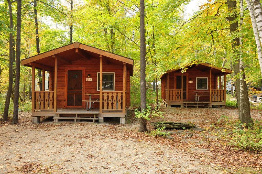 eine Holzhütte im Wald mit Bäumen in der Unterkunft Tranquil Timbers Cabin 11 in Sturgeon Bay