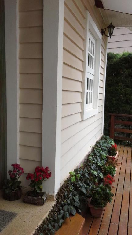  Forest Pine Inn