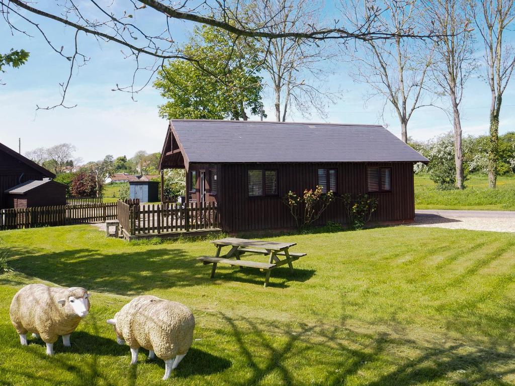 two sheep standing in the grass in front of a cabin at Robin Lodge - E4478 in Nawton