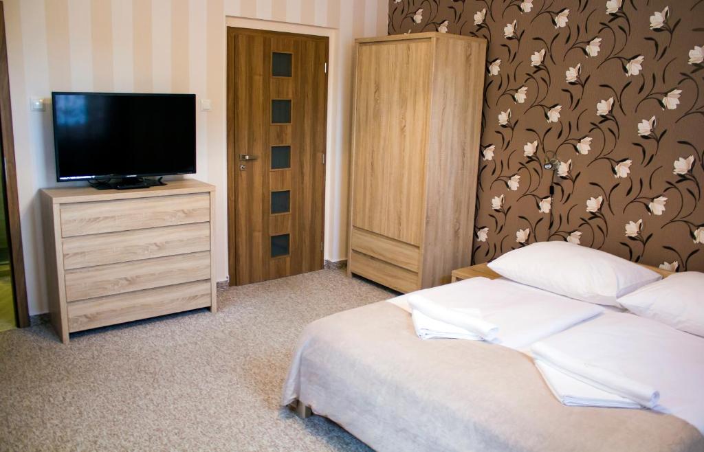 1 dormitorio con 1 cama y TV de pantalla plana en Villa Zora, en Bardejovské Kúpele