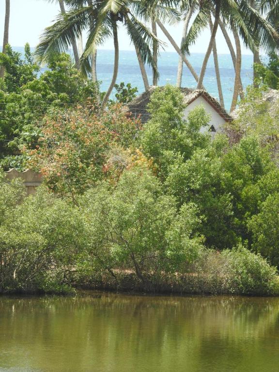 Eagles Nest Cabanas - 13