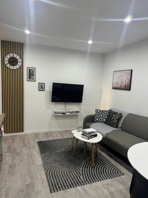 a living room with a couch and a tv at Appart' Cosy proche Mulhouse in Illzach