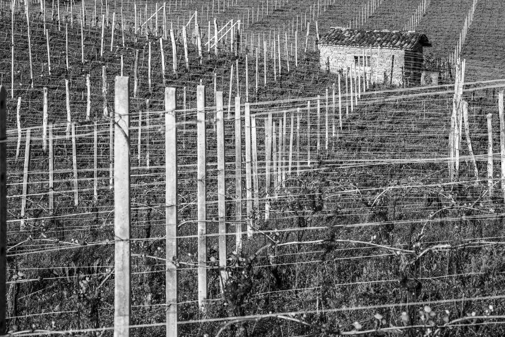Fotografie z fotogalerie ubytování I Tre Poggi Dimora di Charme v destinaci Canelli
