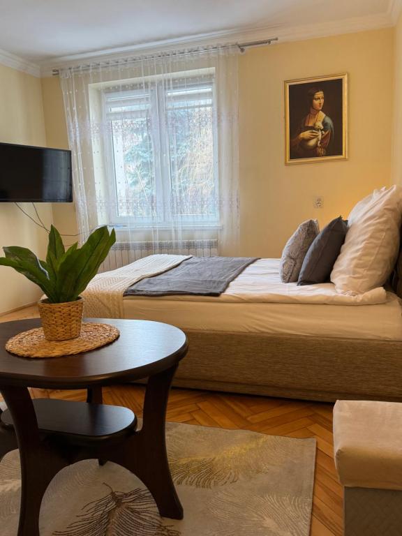 Apartament u Janka - One-Bedroom Apartment