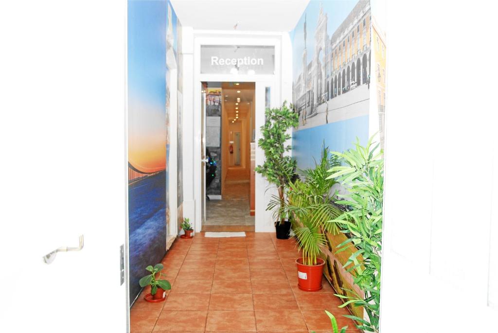 Amor Lisboa Hostel photo