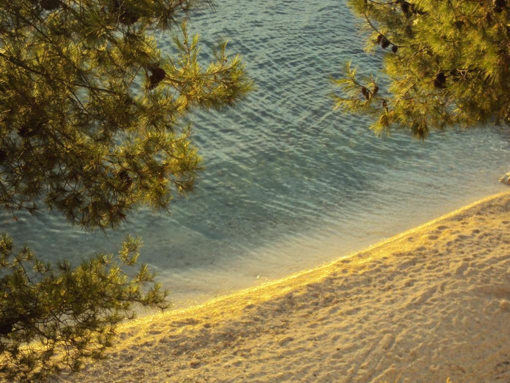 a view of a beach with trees and the water at Apartments Villa Anna Sonia in Podstrana