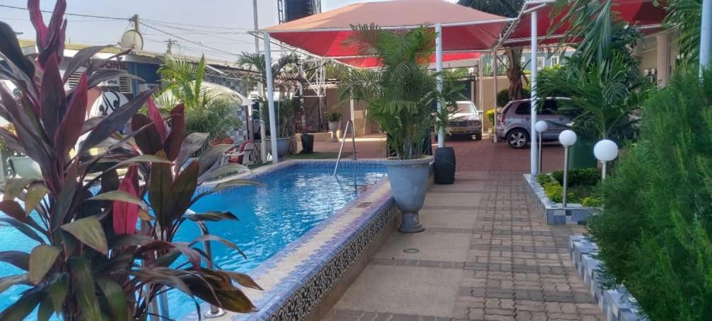a swimming pool with an umbrella and some plants at Sweet Mama in Bijilo